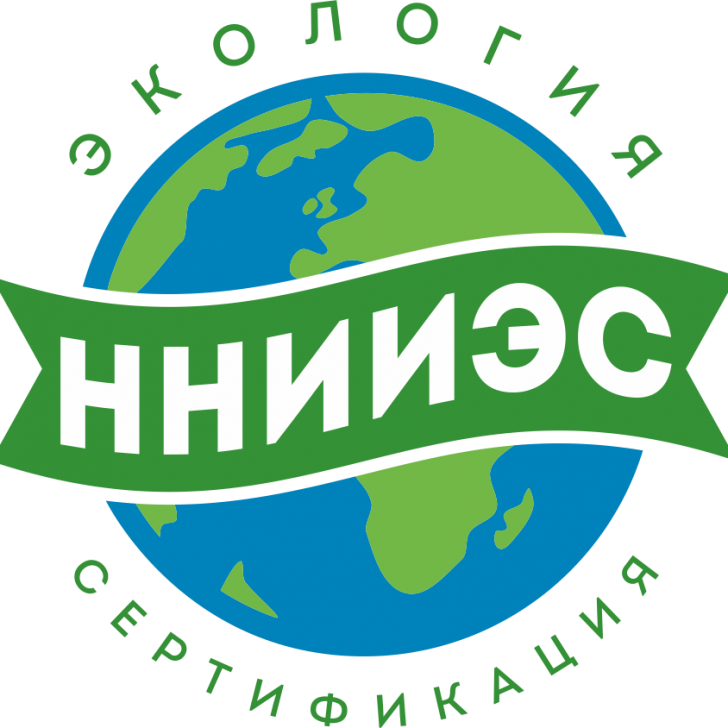 ННИИЭС логотип